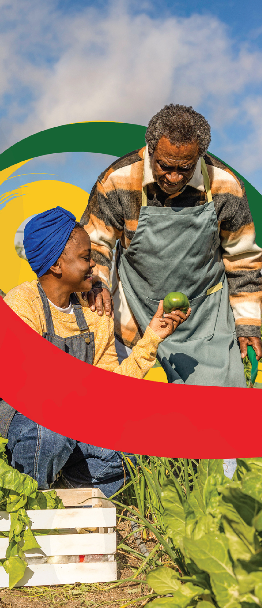 sisa-brochure-web-pg2